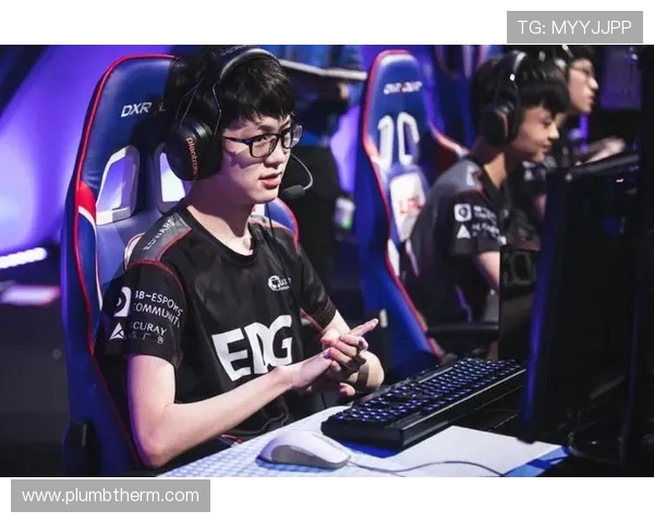 Meiko辅助在当前版本中的策略分析与实战技巧提升指南