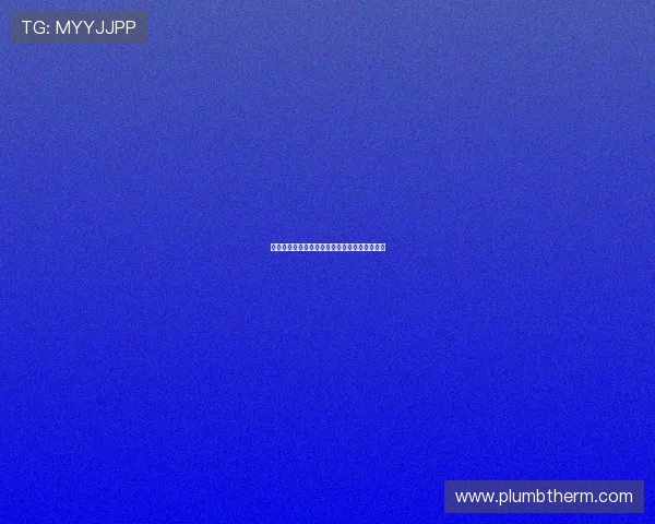 塞内加尔与贝尔哈提战役的精彩对决与战术分析