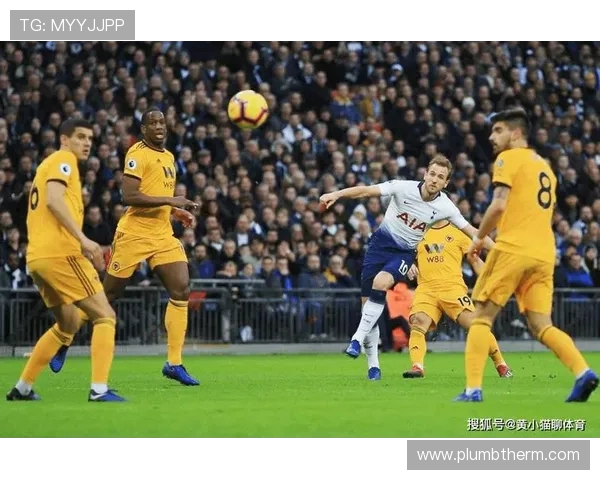 布拉迪对阵狼队的精彩对决分析与赛前预测